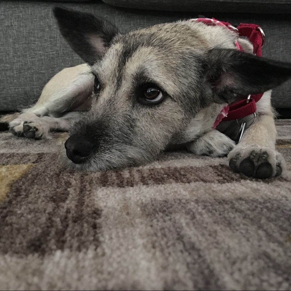 Hiya! - Picture 2 of 2